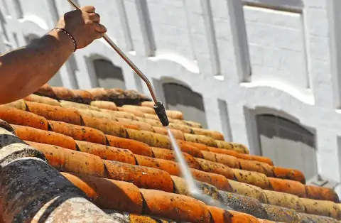 Nettoyage de toitures - Frans